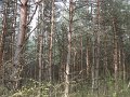 DSCF2124
